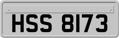 HSS8173