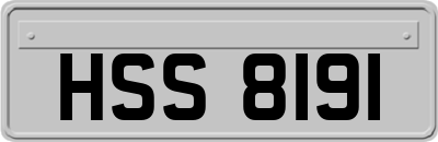 HSS8191