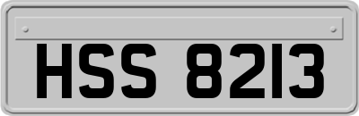 HSS8213