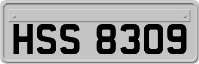 HSS8309
