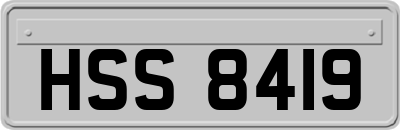 HSS8419