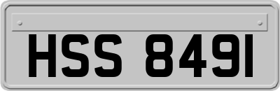 HSS8491