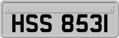 HSS8531