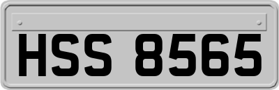HSS8565