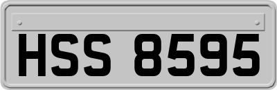 HSS8595
