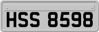 HSS8598
