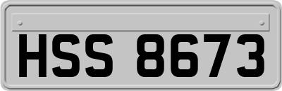 HSS8673