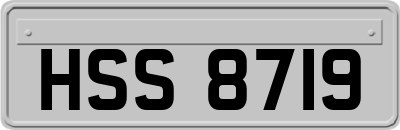 HSS8719