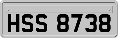 HSS8738