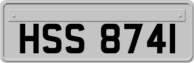 HSS8741
