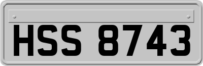 HSS8743