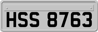 HSS8763