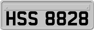 HSS8828
