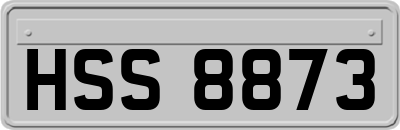 HSS8873