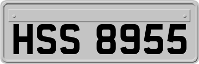 HSS8955