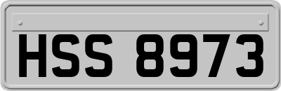 HSS8973