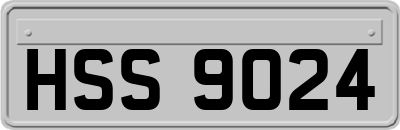 HSS9024