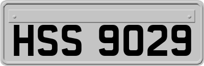 HSS9029