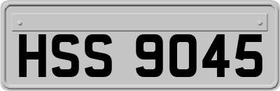 HSS9045