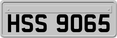 HSS9065