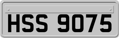 HSS9075