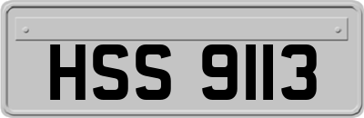 HSS9113