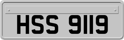 HSS9119