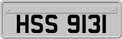 HSS9131