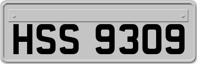 HSS9309