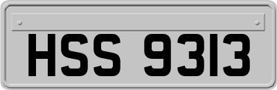 HSS9313
