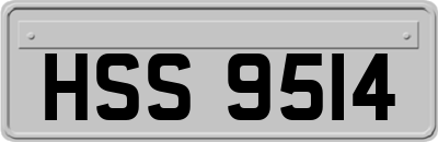 HSS9514