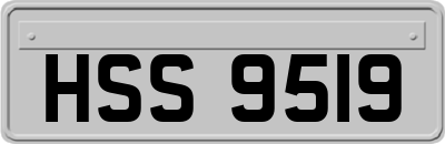 HSS9519