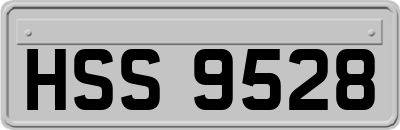 HSS9528