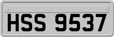 HSS9537