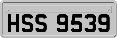 HSS9539