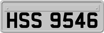 HSS9546