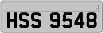 HSS9548