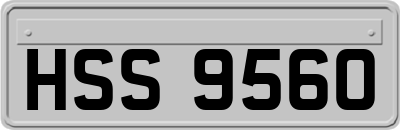 HSS9560