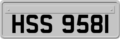 HSS9581