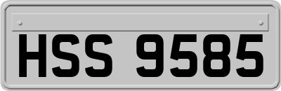 HSS9585