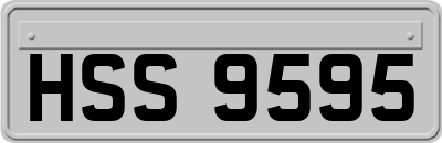 HSS9595