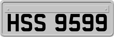 HSS9599