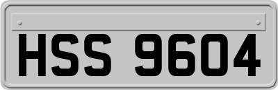 HSS9604