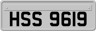 HSS9619