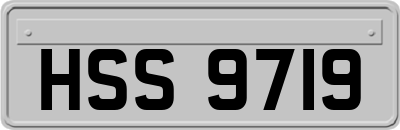 HSS9719