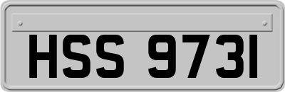 HSS9731