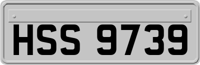 HSS9739