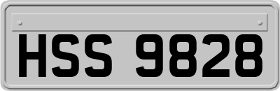 HSS9828
