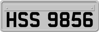 HSS9856