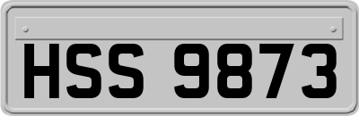 HSS9873